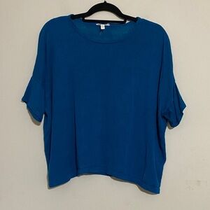 Eileen Fisher Vibrant Blue Short Sleeve women XL  Top blouse organic linen boxy